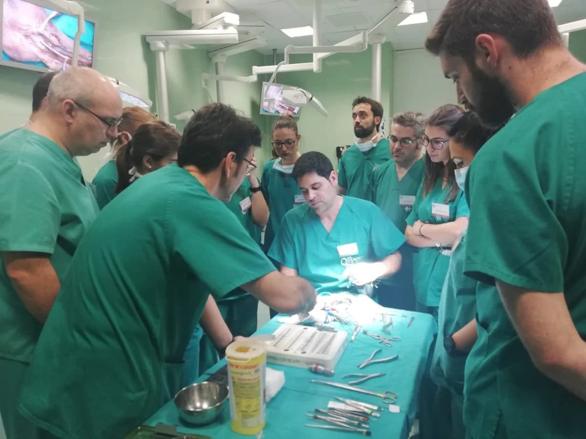 IV Taller de Técnicas Quirúrgicas del Pie